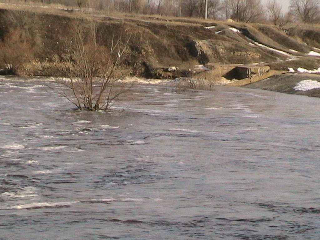 Половодье 2010