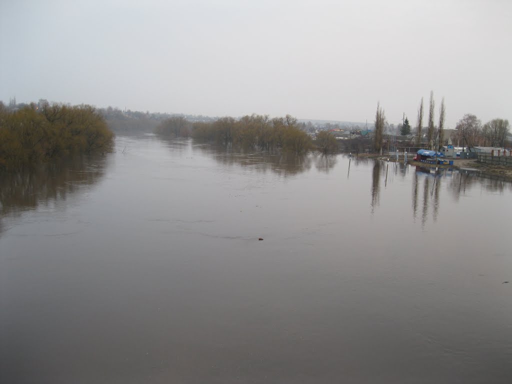 Большая вода 2012