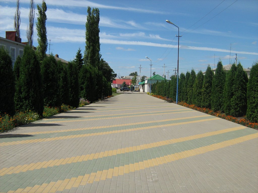 Аллея в "Добром"
