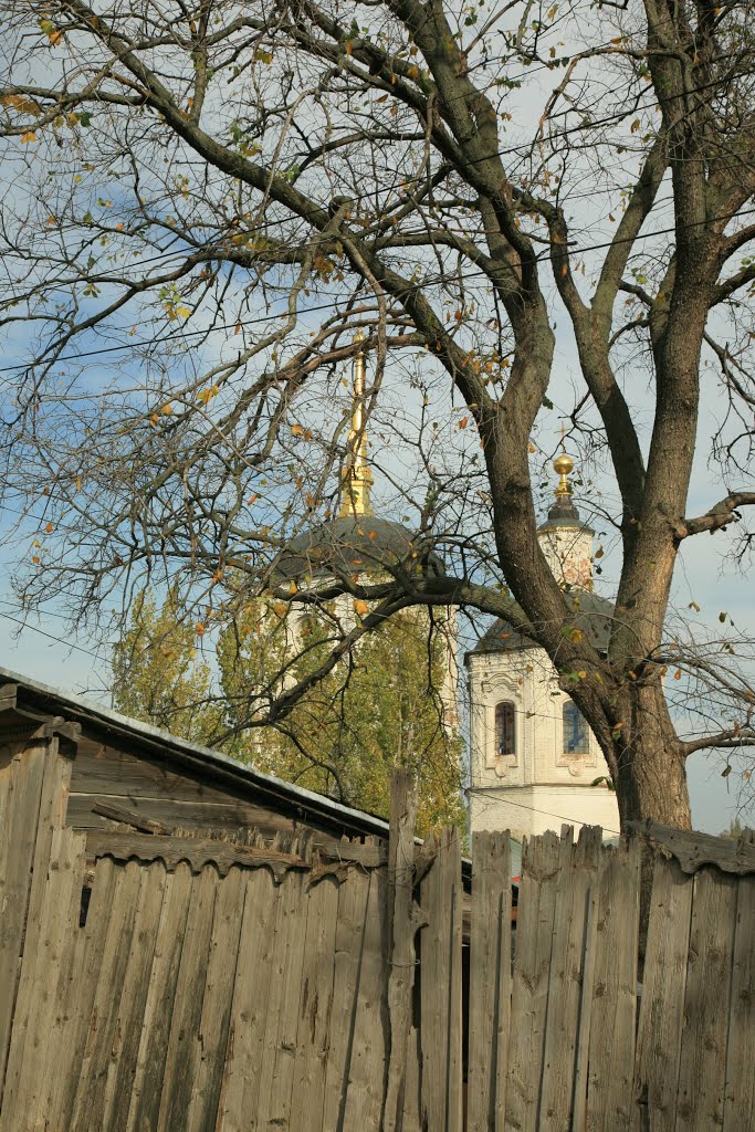 Прогулки по Ельцу
