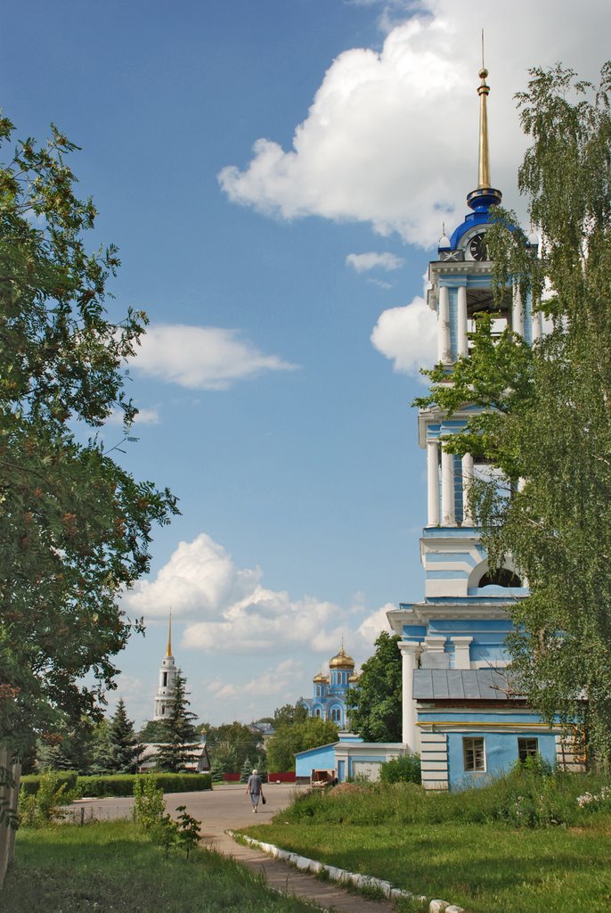 Храмы Задонска