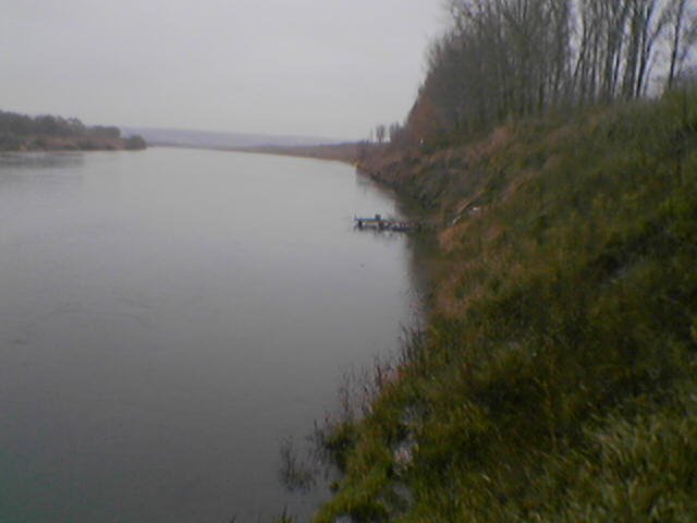 Дон