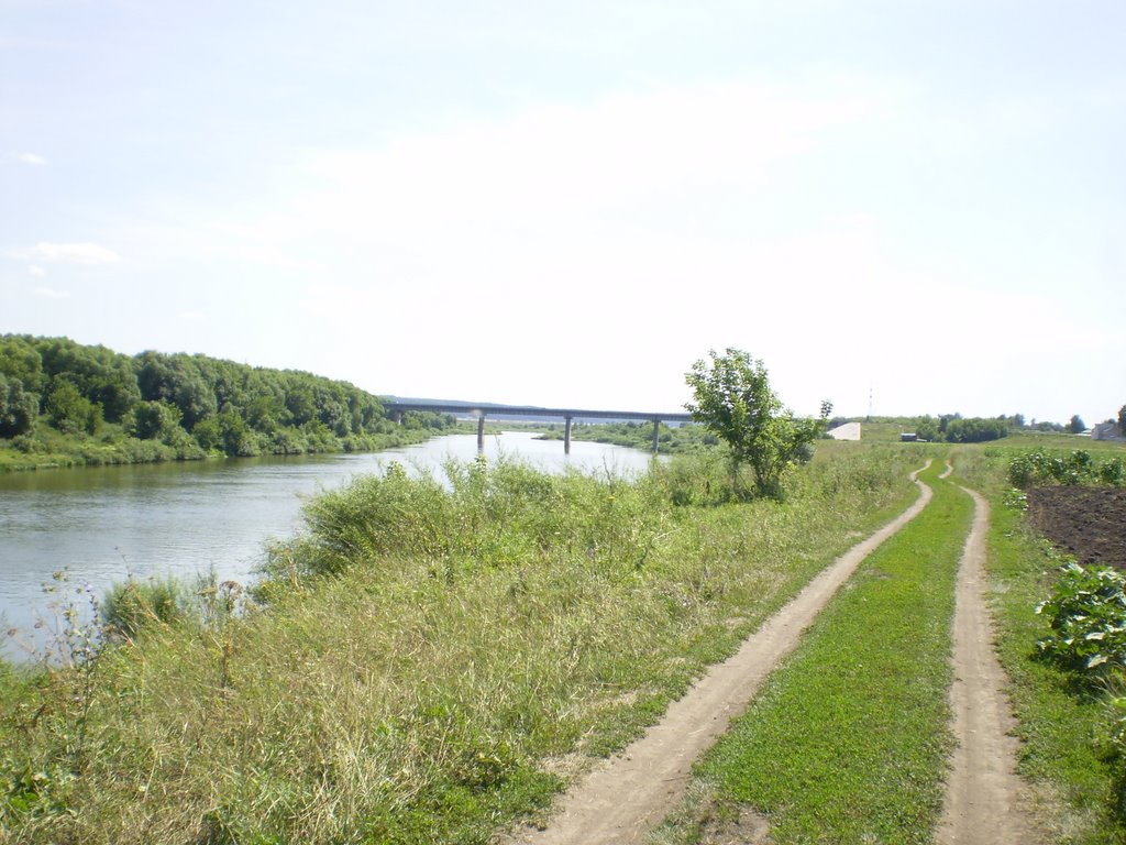 река Дон