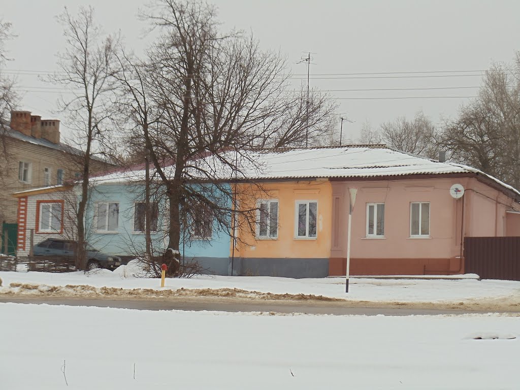 Разноцветный дом