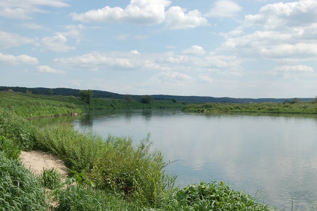 Дон в Задонске
