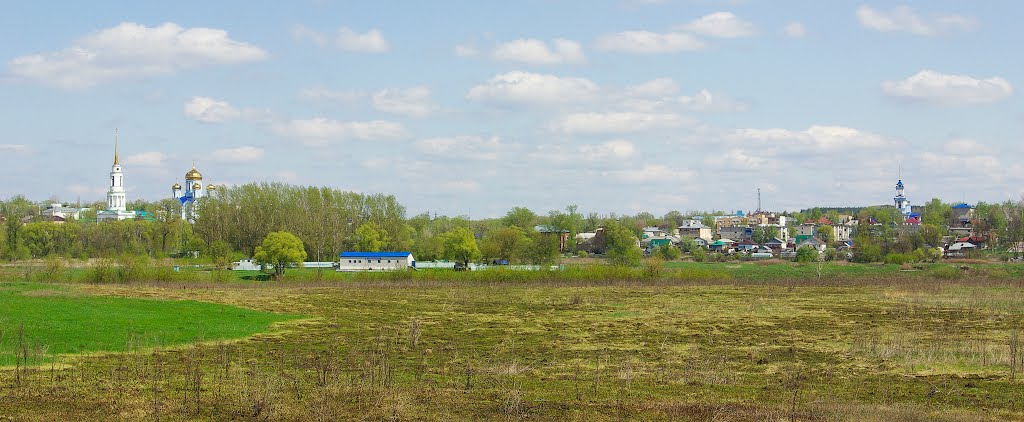 Задонск