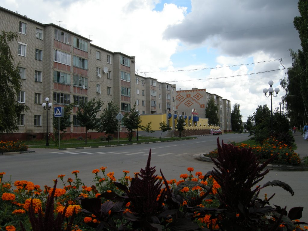 ул. Тургенева