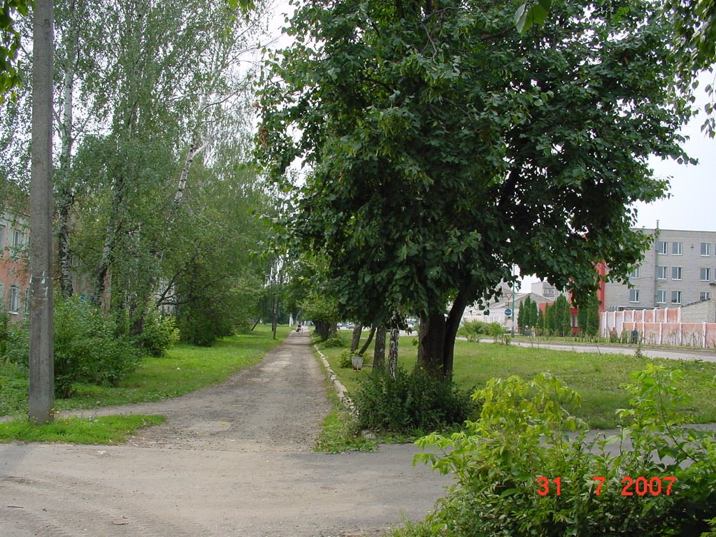 Тротуар на ул. Советской