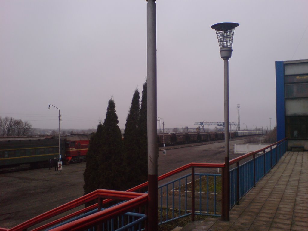 Станция "Лебедянь" [Railroad stantion "Lebedyan"]