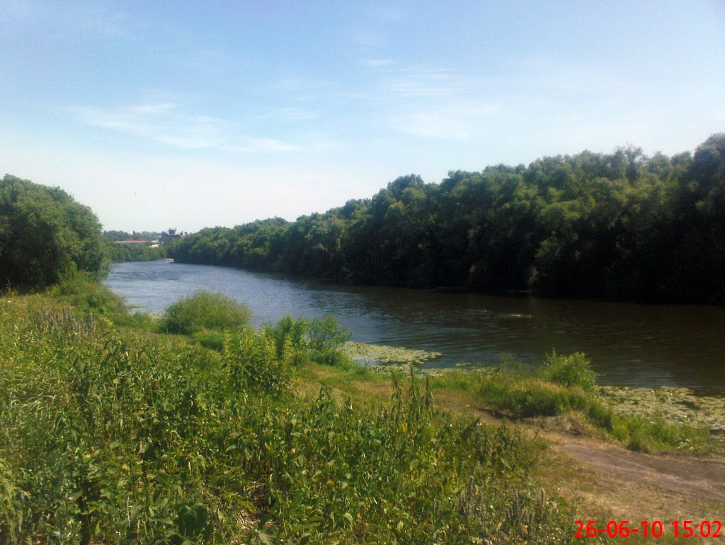 Дон