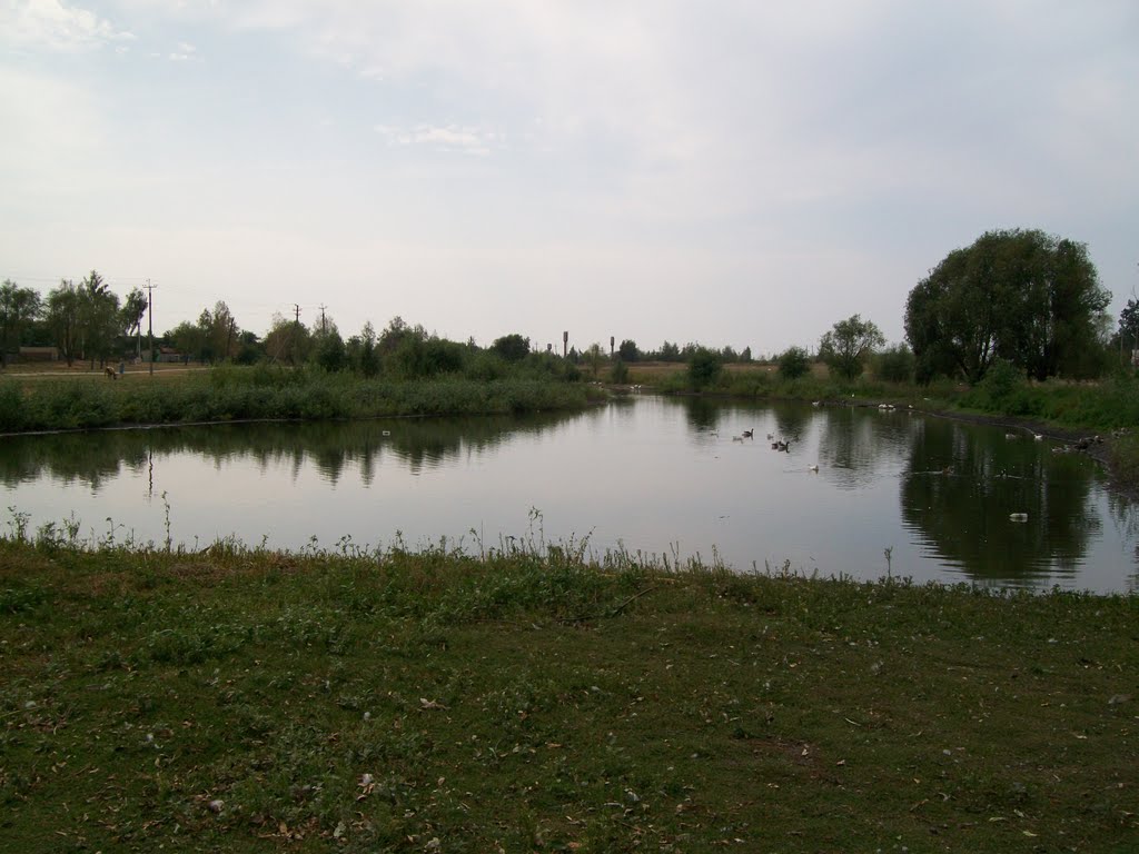 Левашевский пруд