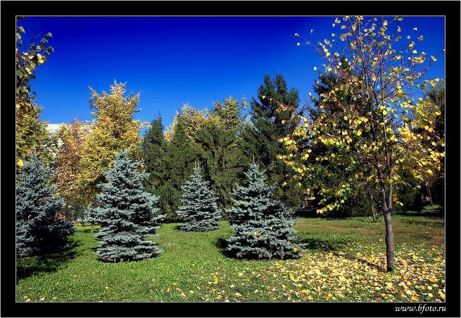 Верхний парк в Липецке, осень