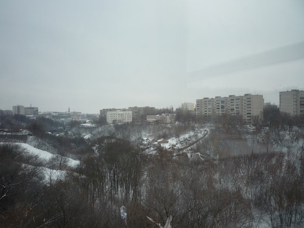 Вид на Каменный Лог из ТЦ Молл (январь 2009)