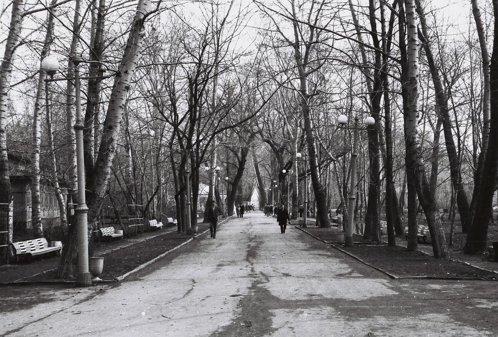 Lipetsk - Pathway in the Park - Photo 1969