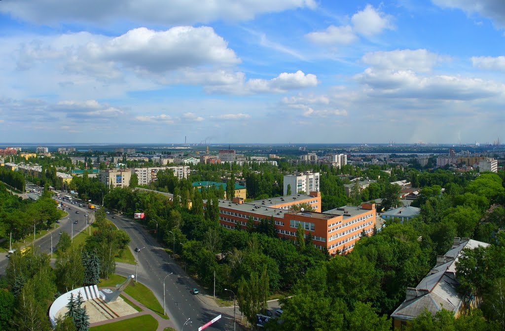 Вид с трилистника
