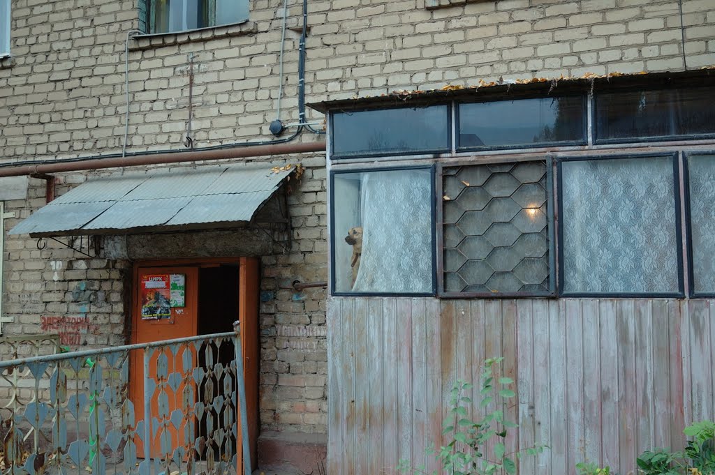 Хозяин квартиры / The owner of apartment