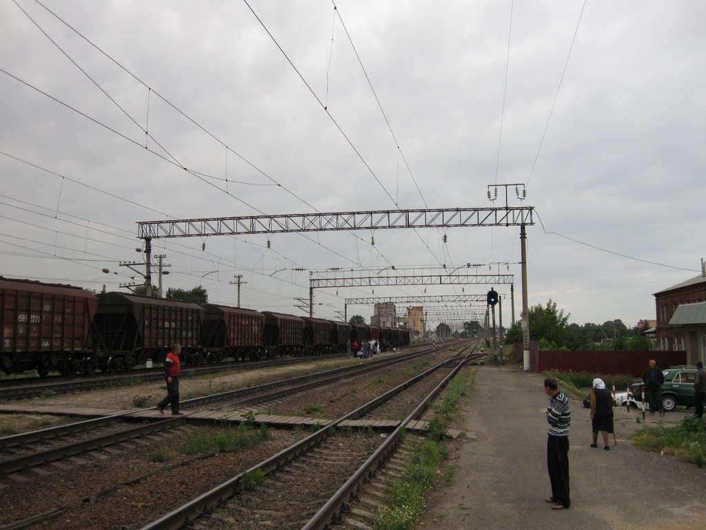Станция Тербуны