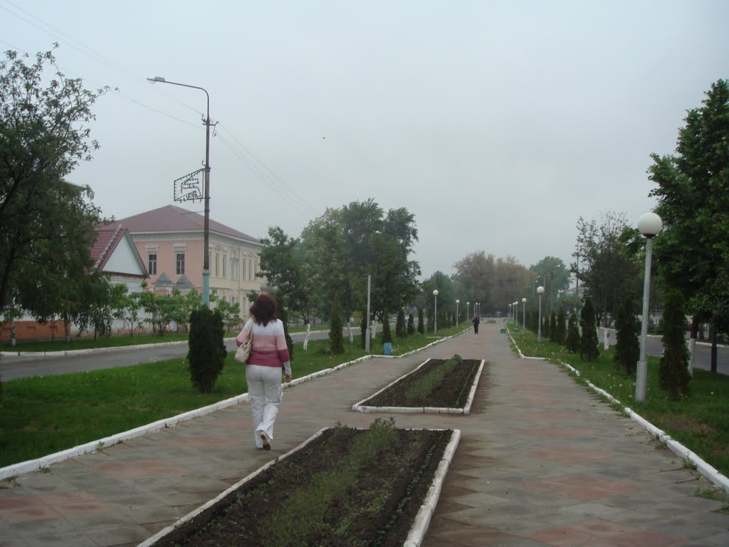 26.05.2008