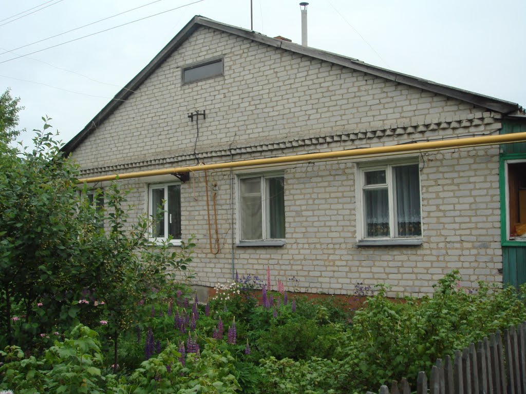 К.Маркса 108. 27.05.2008