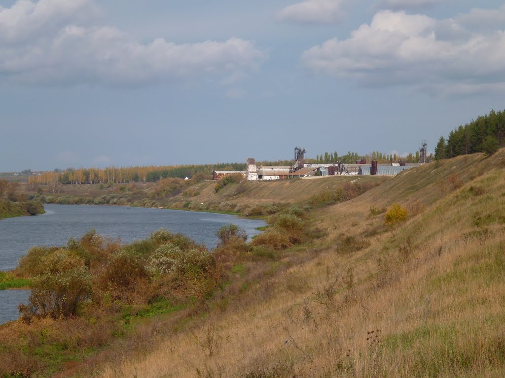 Левый берег Хлевное вид на заготзерно