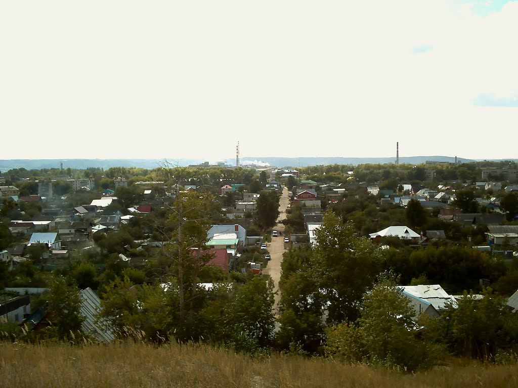 Вид с Лысой горы 1