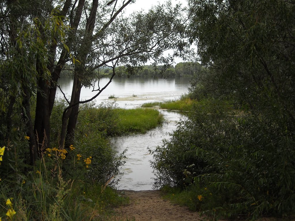 Дамба