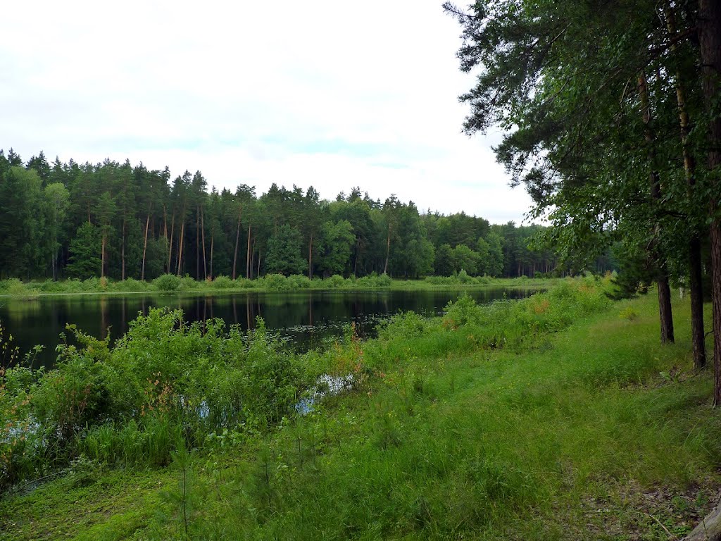 озеро у Звенигово