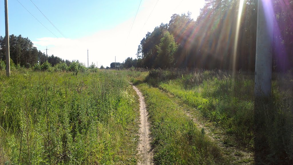 Дорога