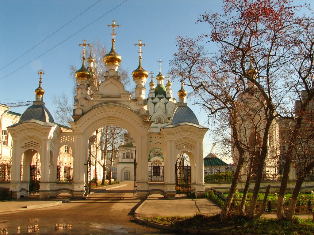 Врата. Окт. 2008г.