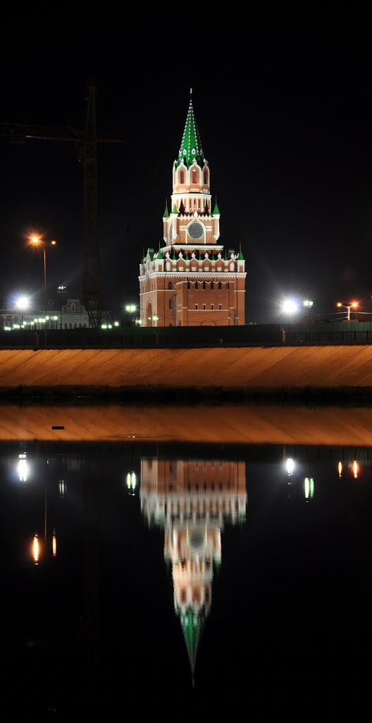 Кокшага зеркальная
