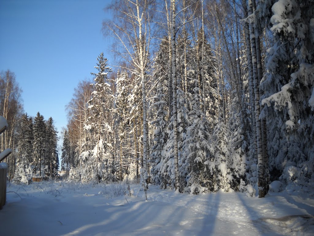 Парк