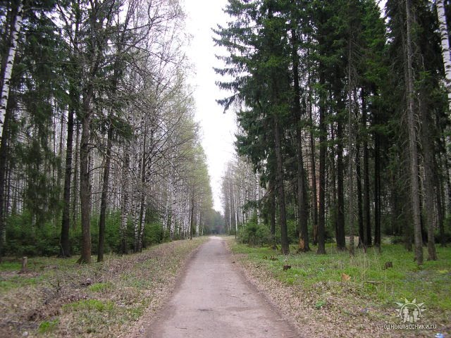 Парк ранней весной