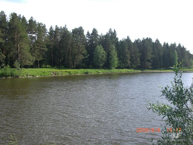 Пруд в лесничестве