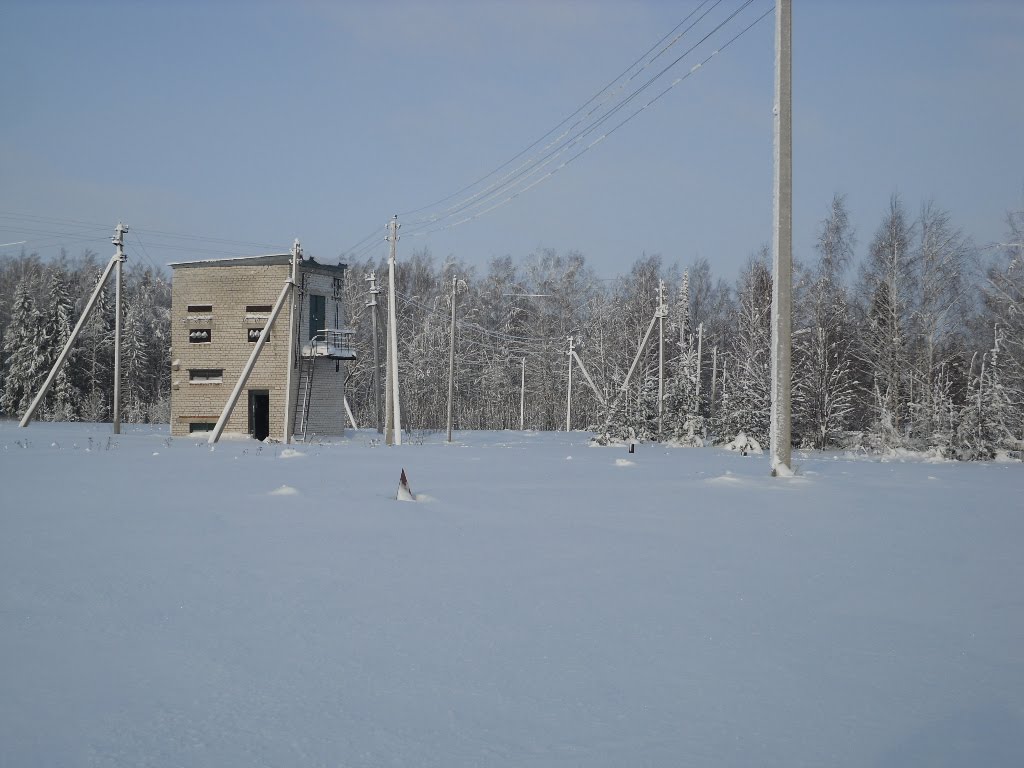 зимнее поле//winter field