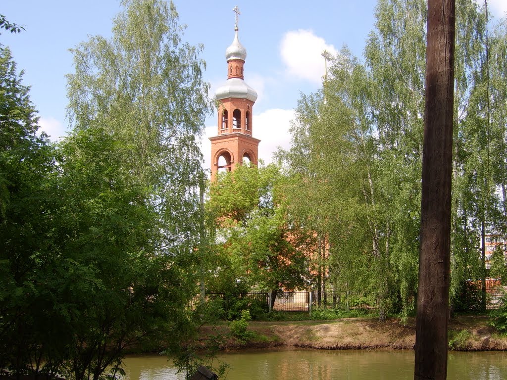 Церковь (вид с зоопарка)