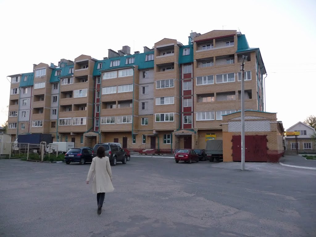 Домик в Медведево