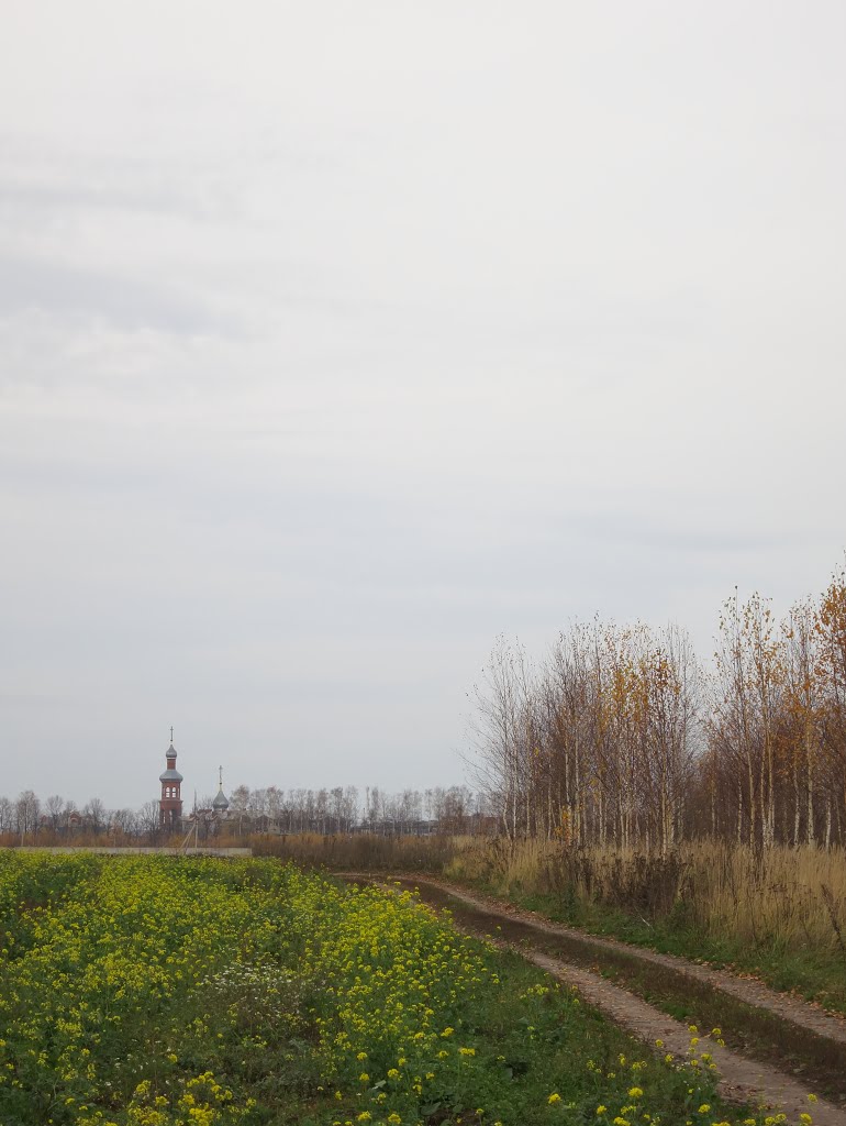 Осенняя пастель.