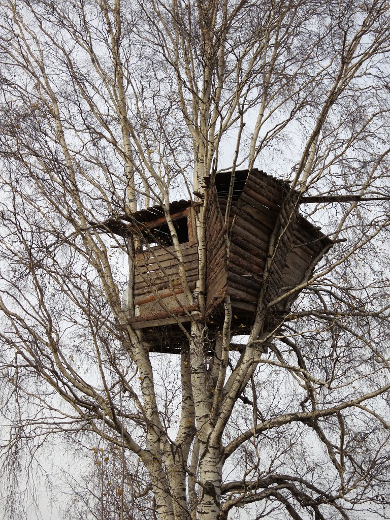Избушка БабыЯги (1).