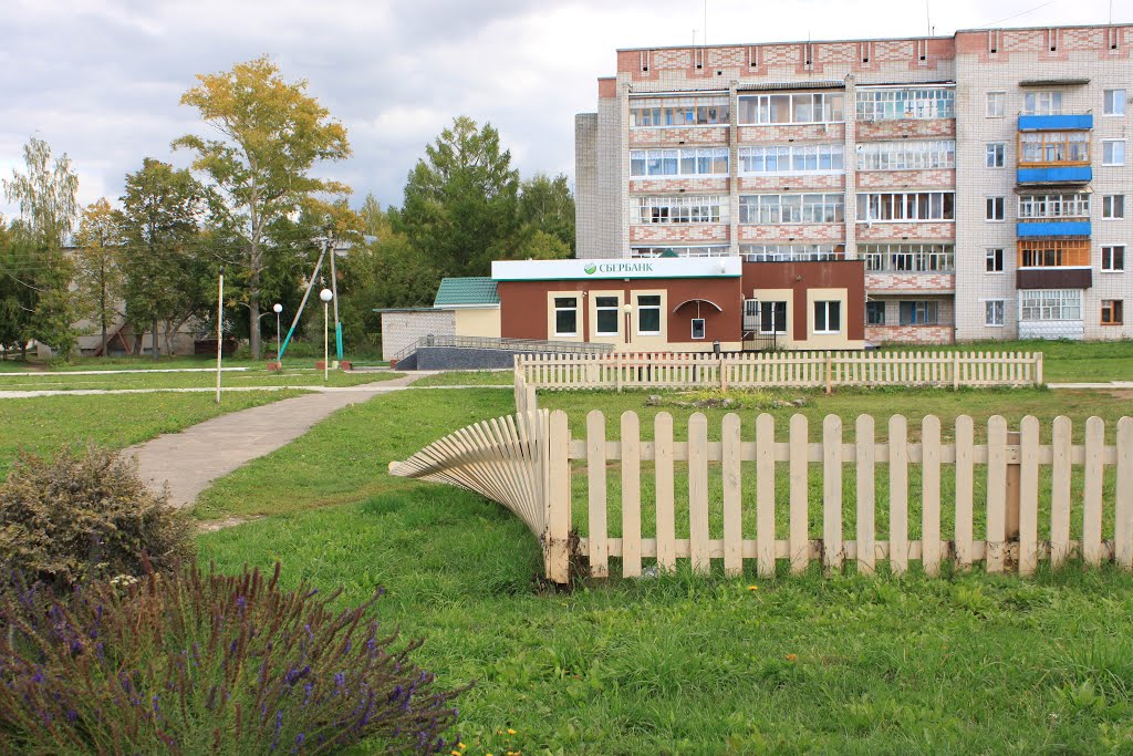 Новый забор