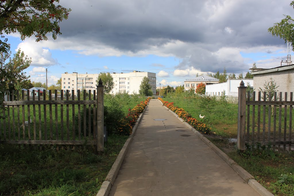 Аллея около школы