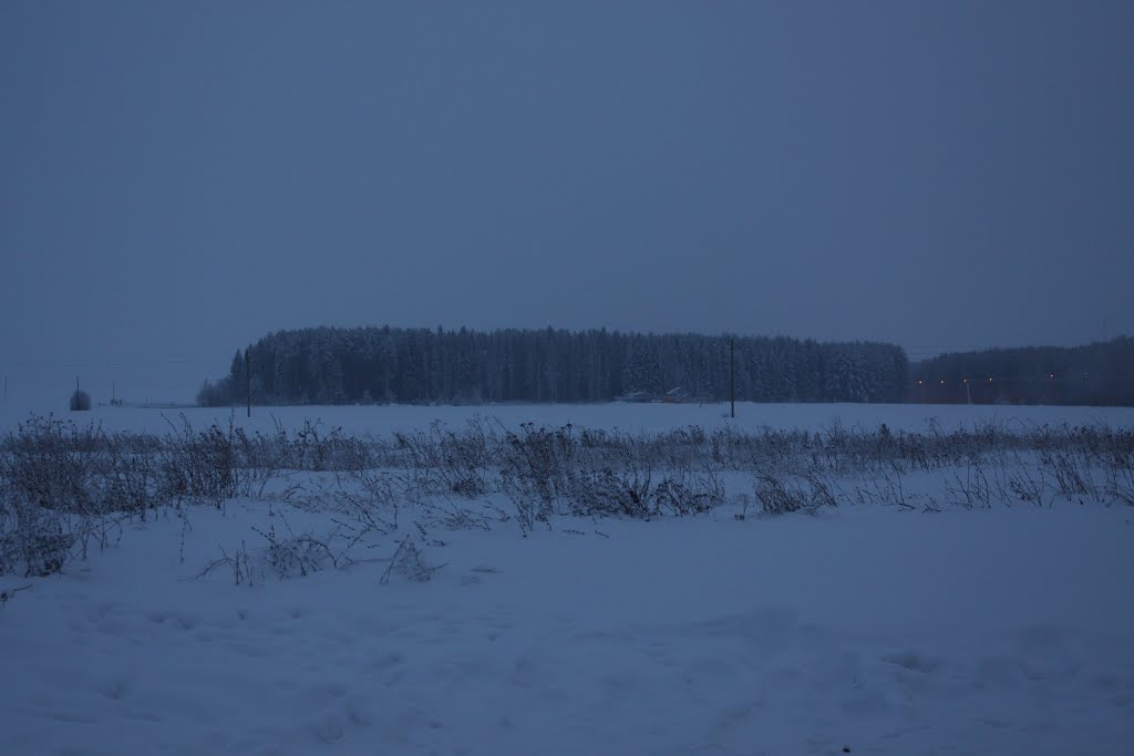Зимние сумерки