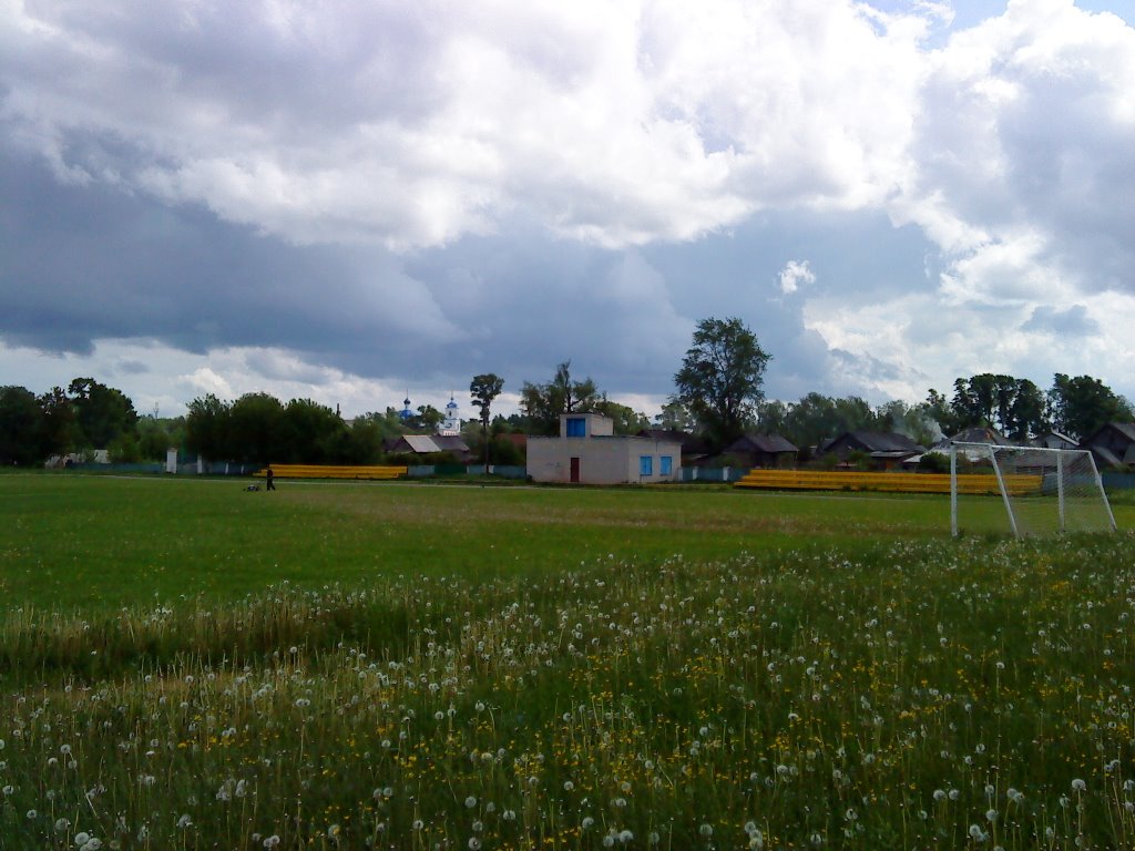 Stadium "Stroitel"