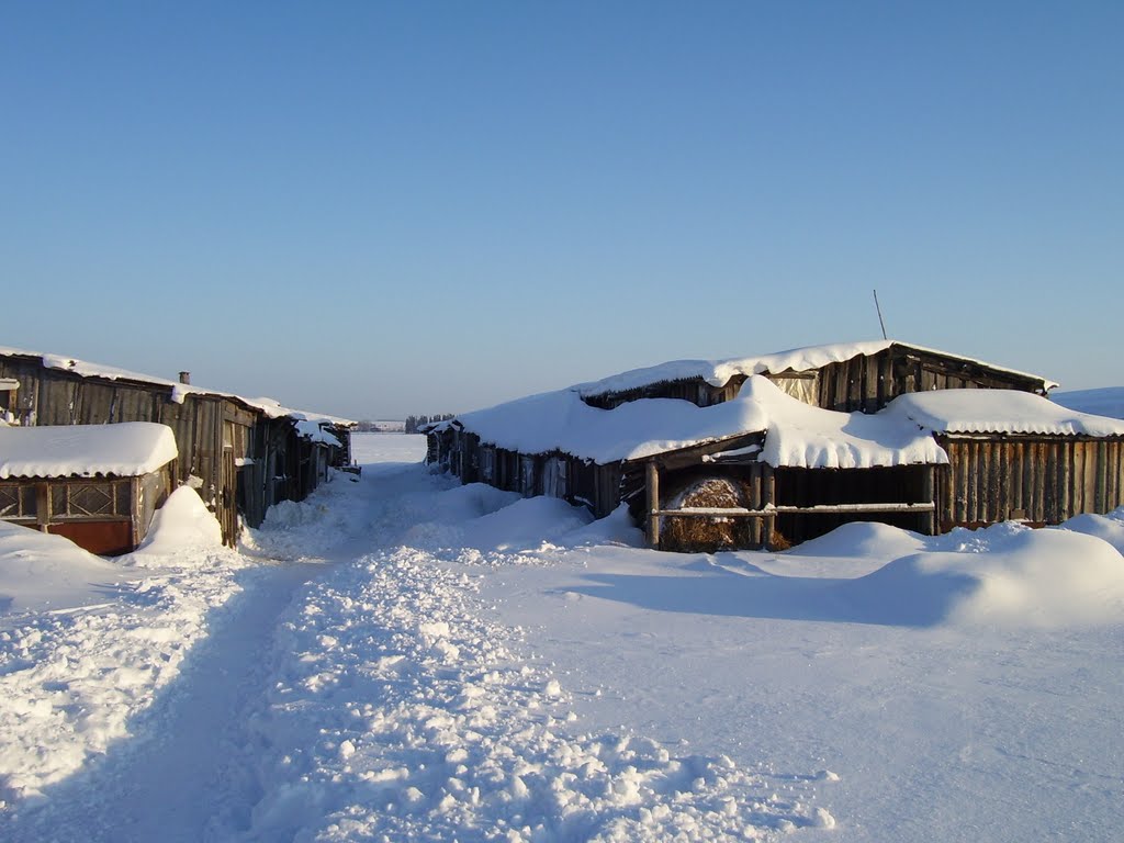 Сарайки