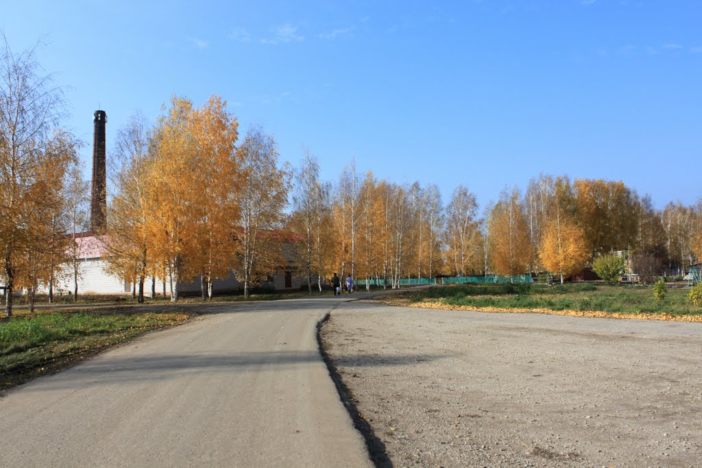 Улица в микрорайоне