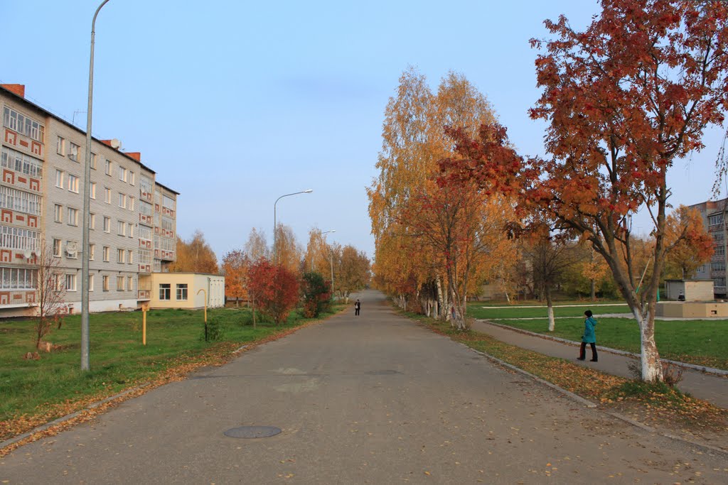 Улица Культуры