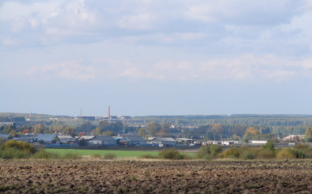 Novyi Toryal