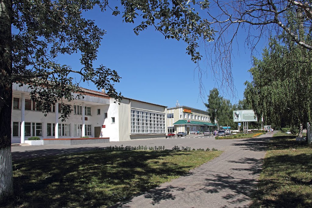 В центре Оршанки