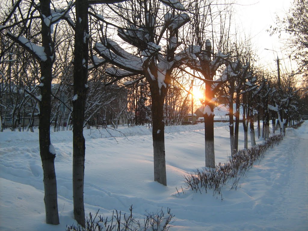 Оршанка зимой