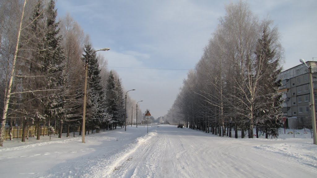 Оршанка зимой
