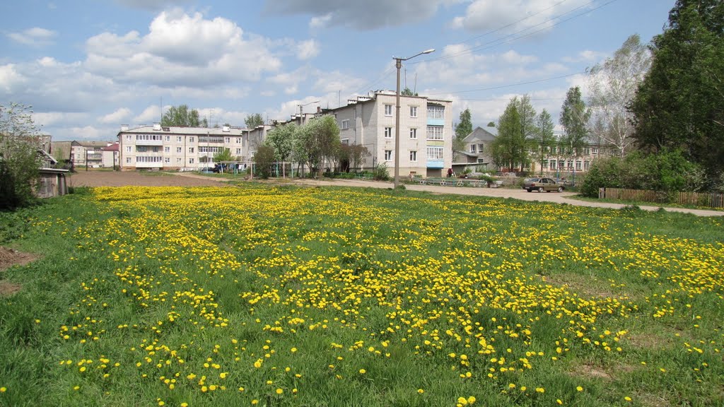 Оршанка